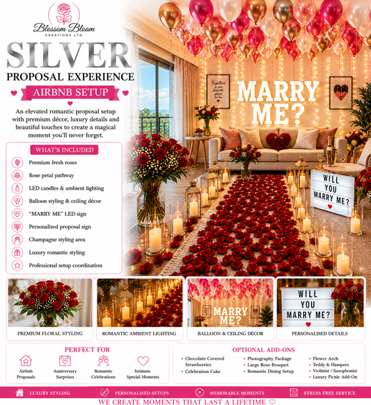 Silver Proposal Experience